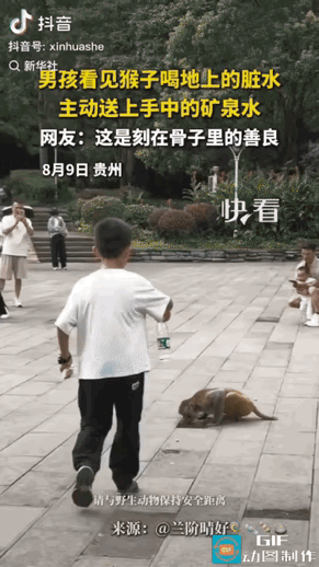 贵州景区一幕暖心画面走红，还登上了新华社：一名小男孩偶遇小猴舔食路边浑浊积水，主