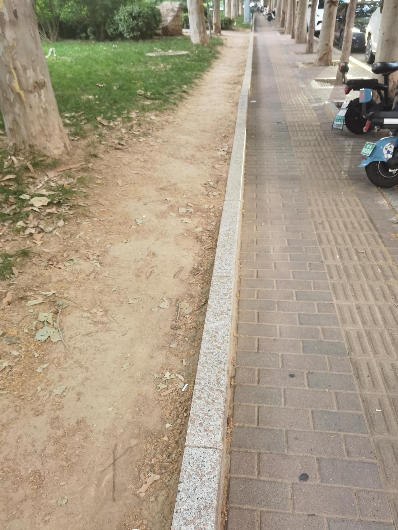 这些人是没有公德心吗？石家庄建华南大街和裕华路交口向东走路北，好好的草坪被踩出