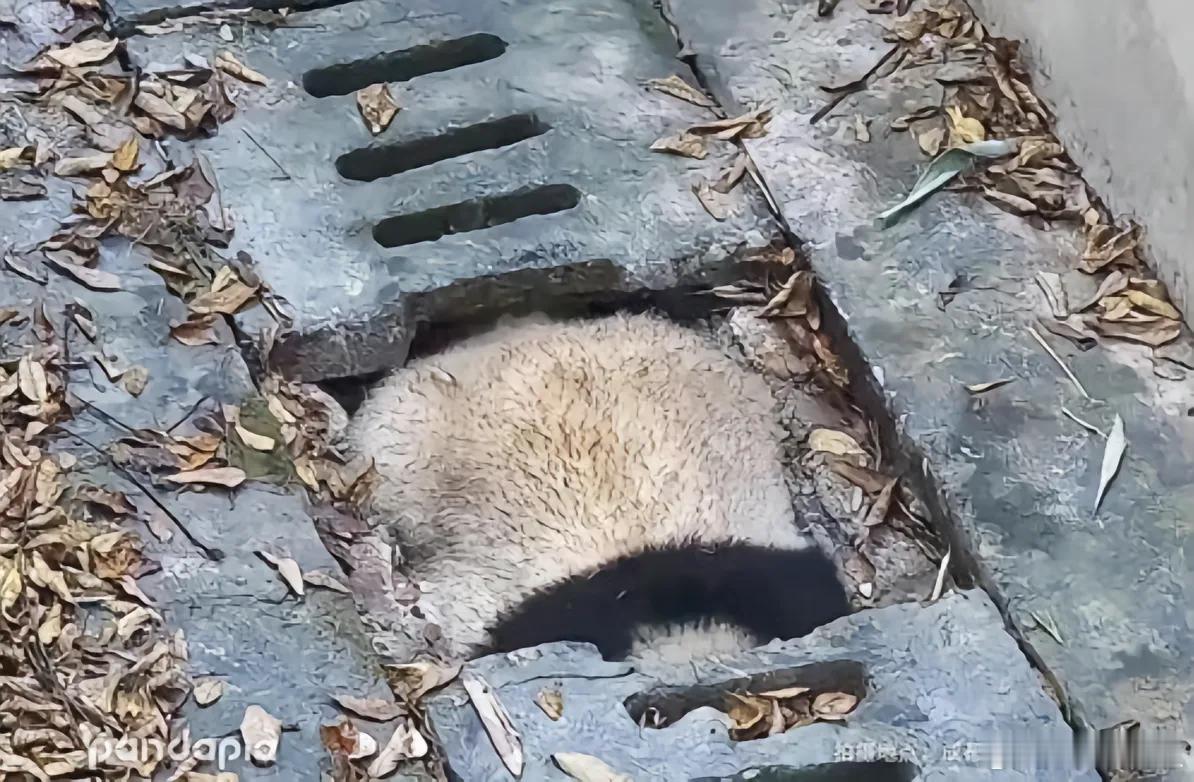 岛主：师傅，你是做什么工作的？​​​