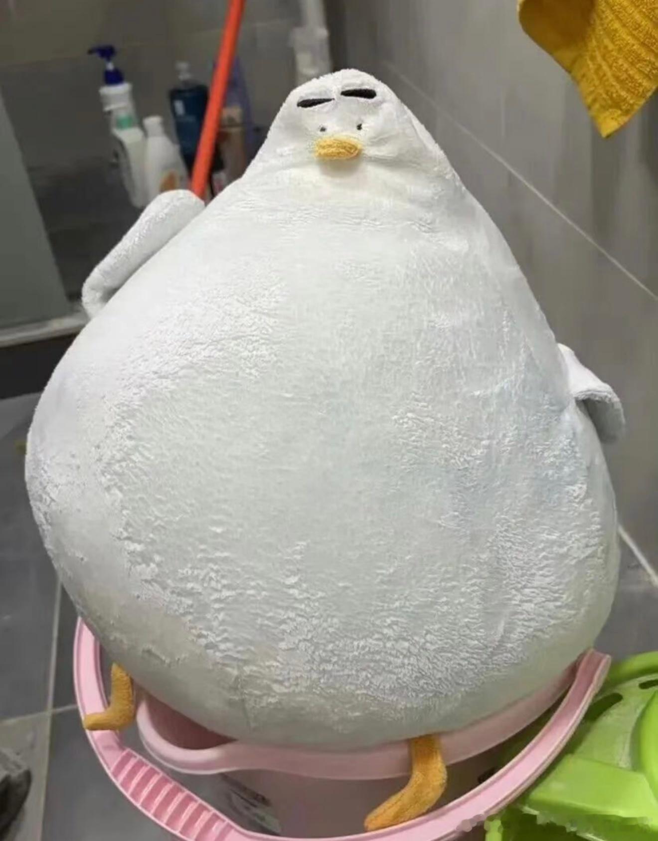 6682玩偶：洗衣机我恨你，把我美瞳给洗掉了！