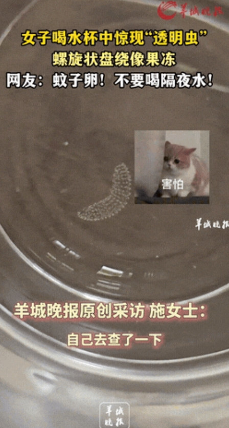 太吓人了！”云南大理，一女子起床前喝了半杯隔夜水后，竟然惊奇地发现杯子里面有一排