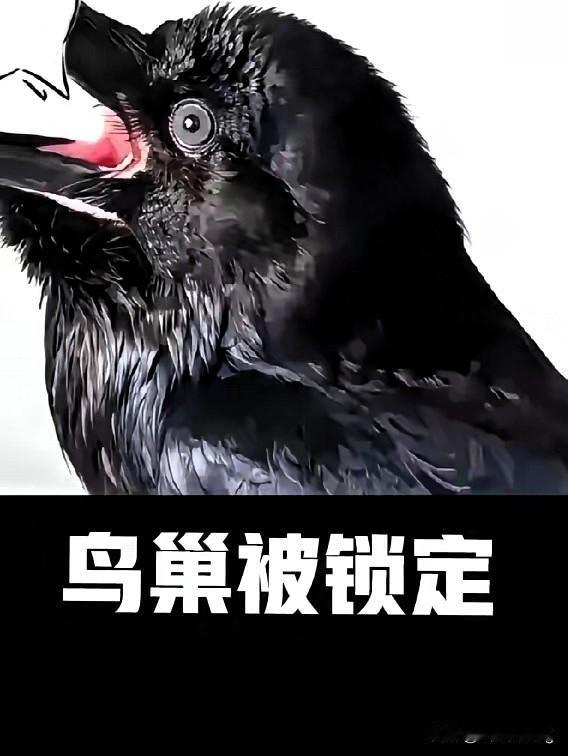 柴桑大姐直播这波操作也太霸气了！二八事件里直面杜大娘的起诉威胁，一句“尽管放马过