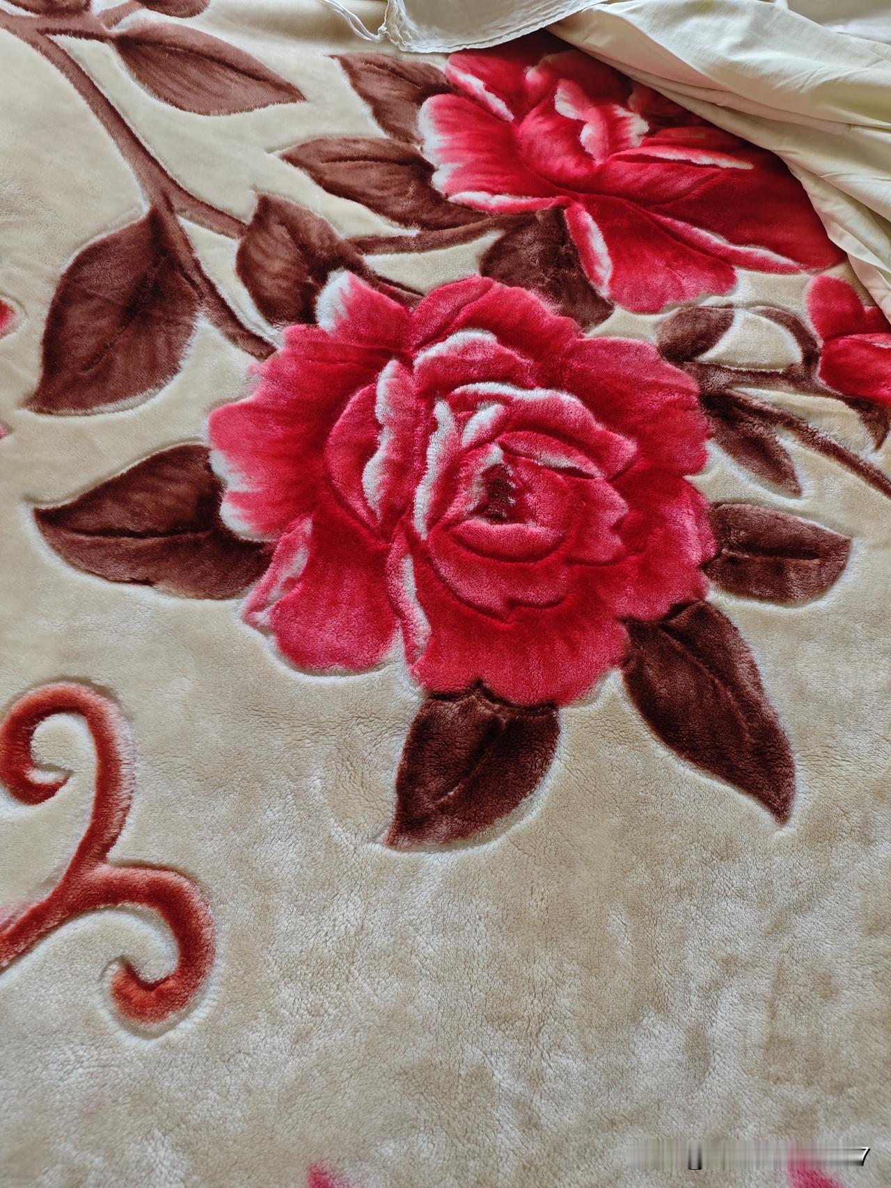 想变废为宝！前两天刷视频，看一博主把毛毯一分为二，各加了一个里儿，成为了两个夏