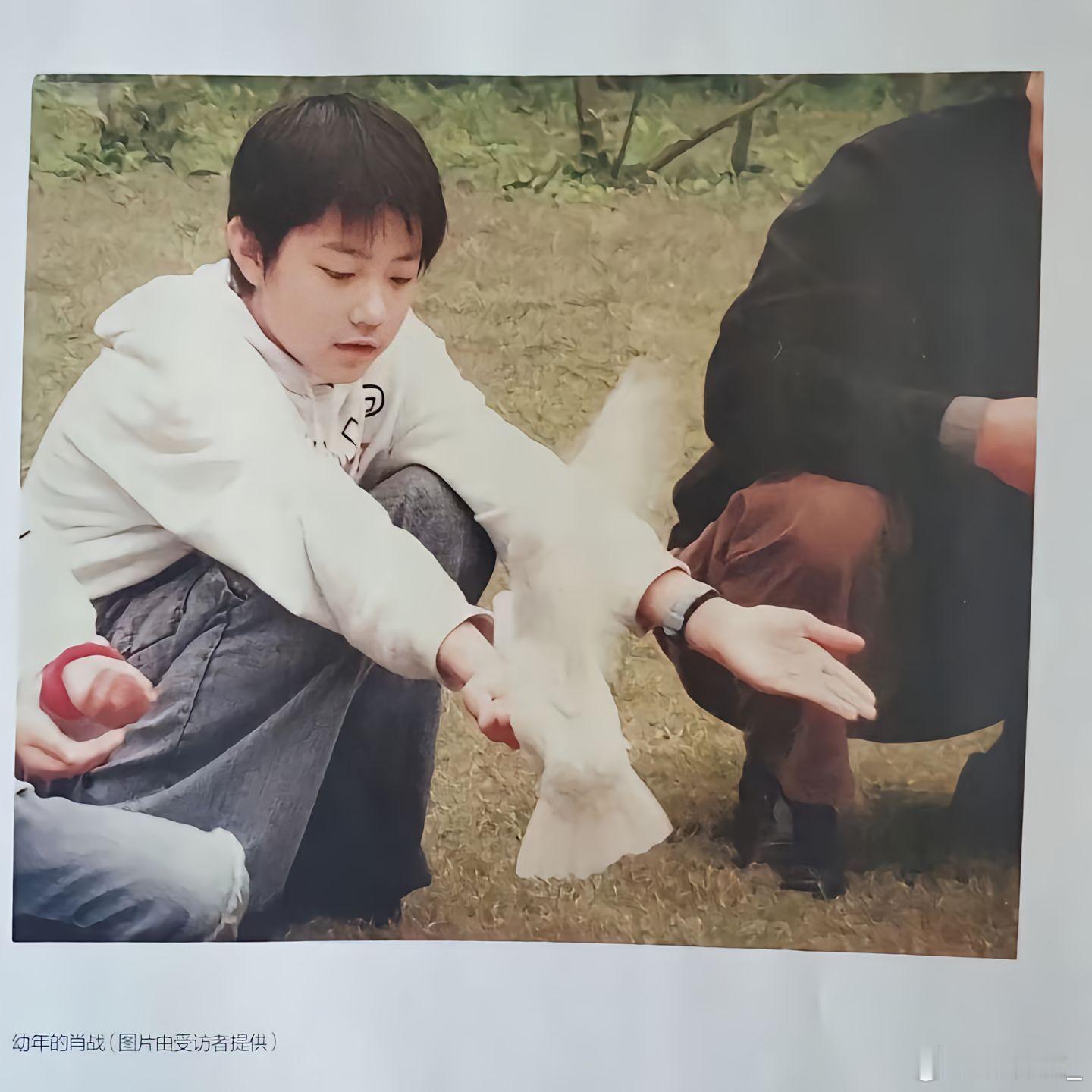 肖战幼儿园时期的照片考古肖战你就会发现他真的从小萌到大早期新人美时期真的稚嫩又可