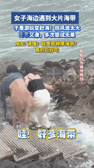 广西海边惊现“海带大军”！两女孩徒手打捞未果，网友：换我也忍不住“解释不清了