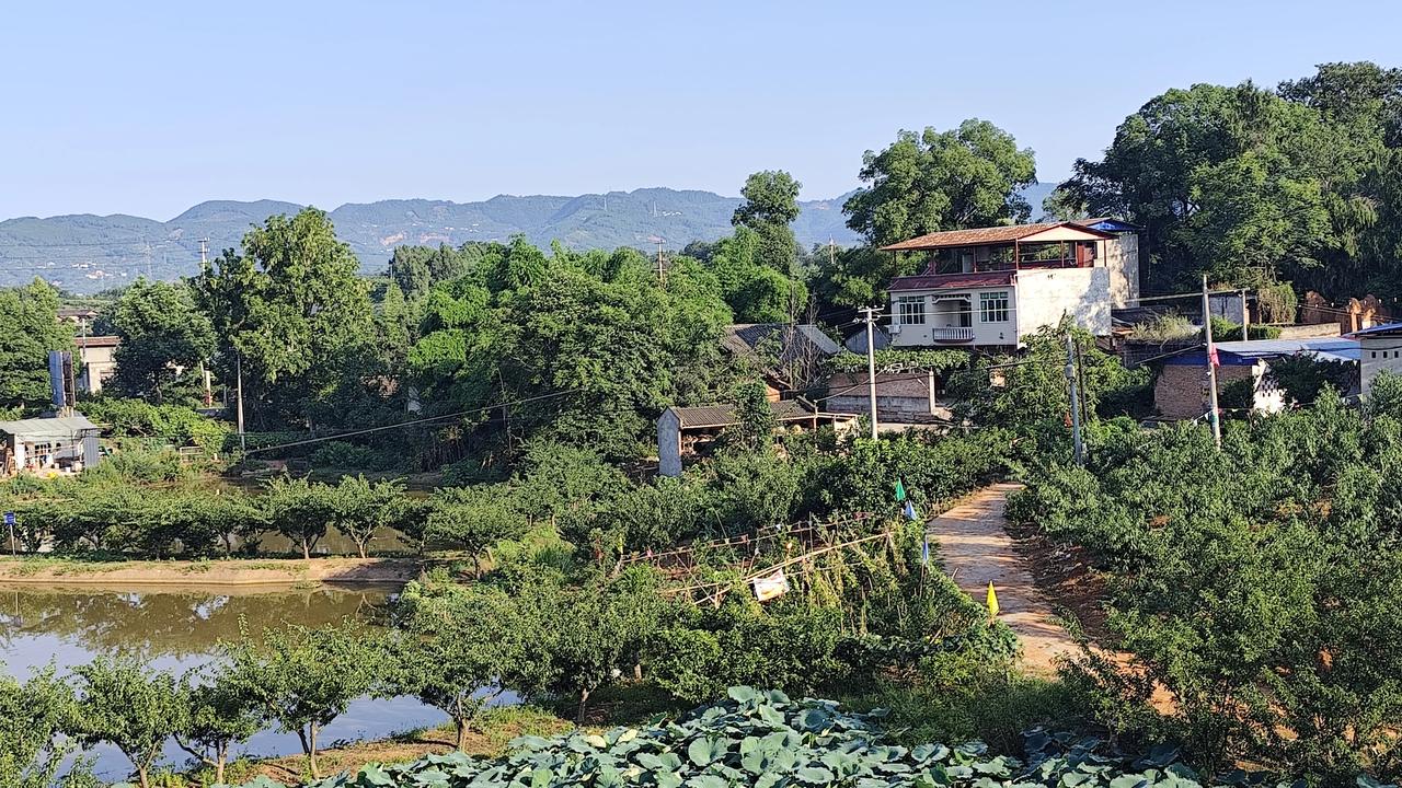 夏日生活打卡季夏日乡村风景欣赏晒出相册最美自然风景
