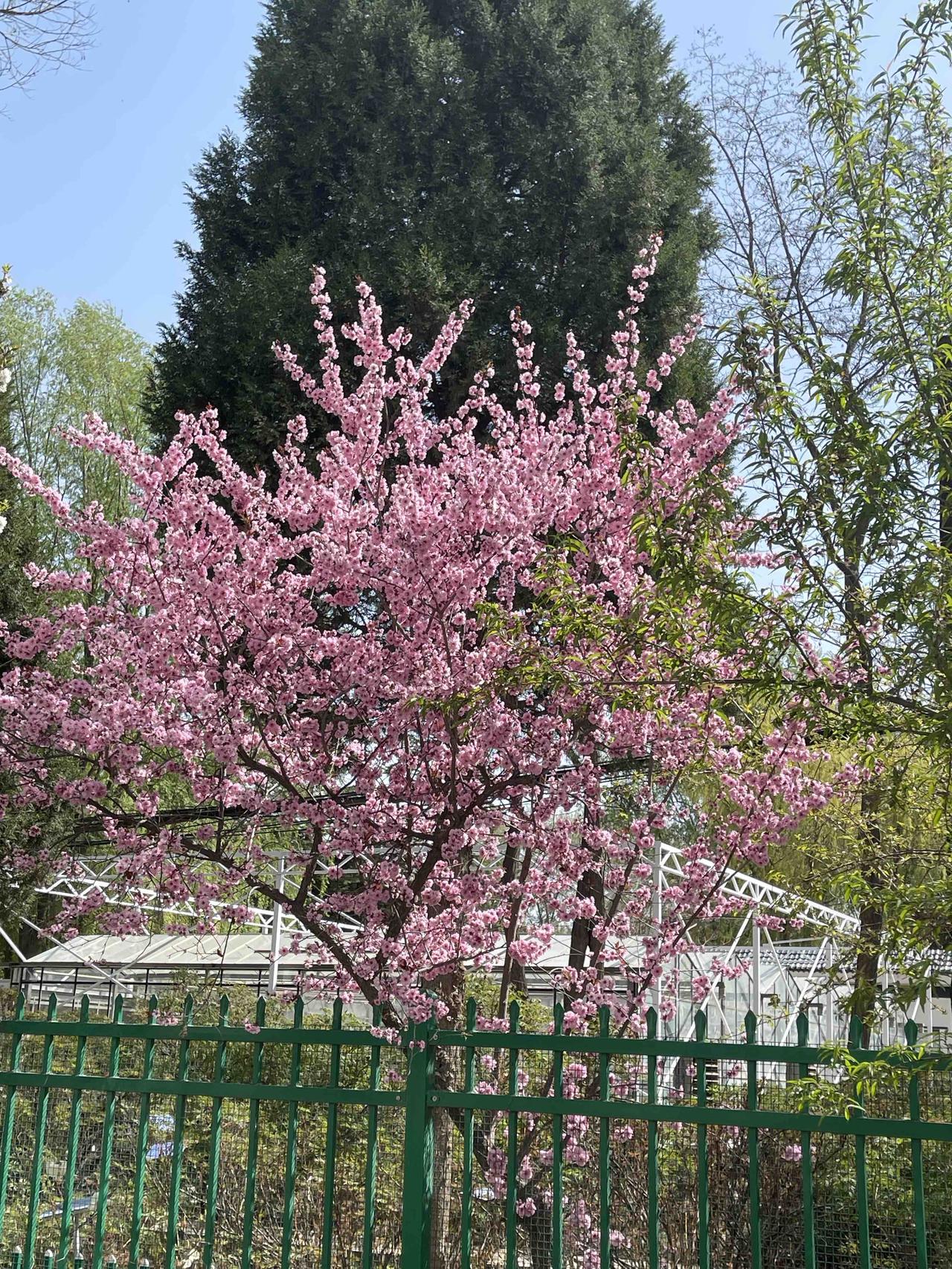 世人最该警惕的七样坏东西：1.忘恩负义的人这世上忘恩负义的人不在少数，遇