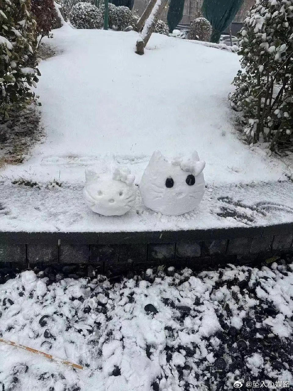 有网友说唐嫣的关心是在媚粉