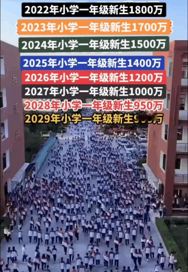 孩子越来越少了！