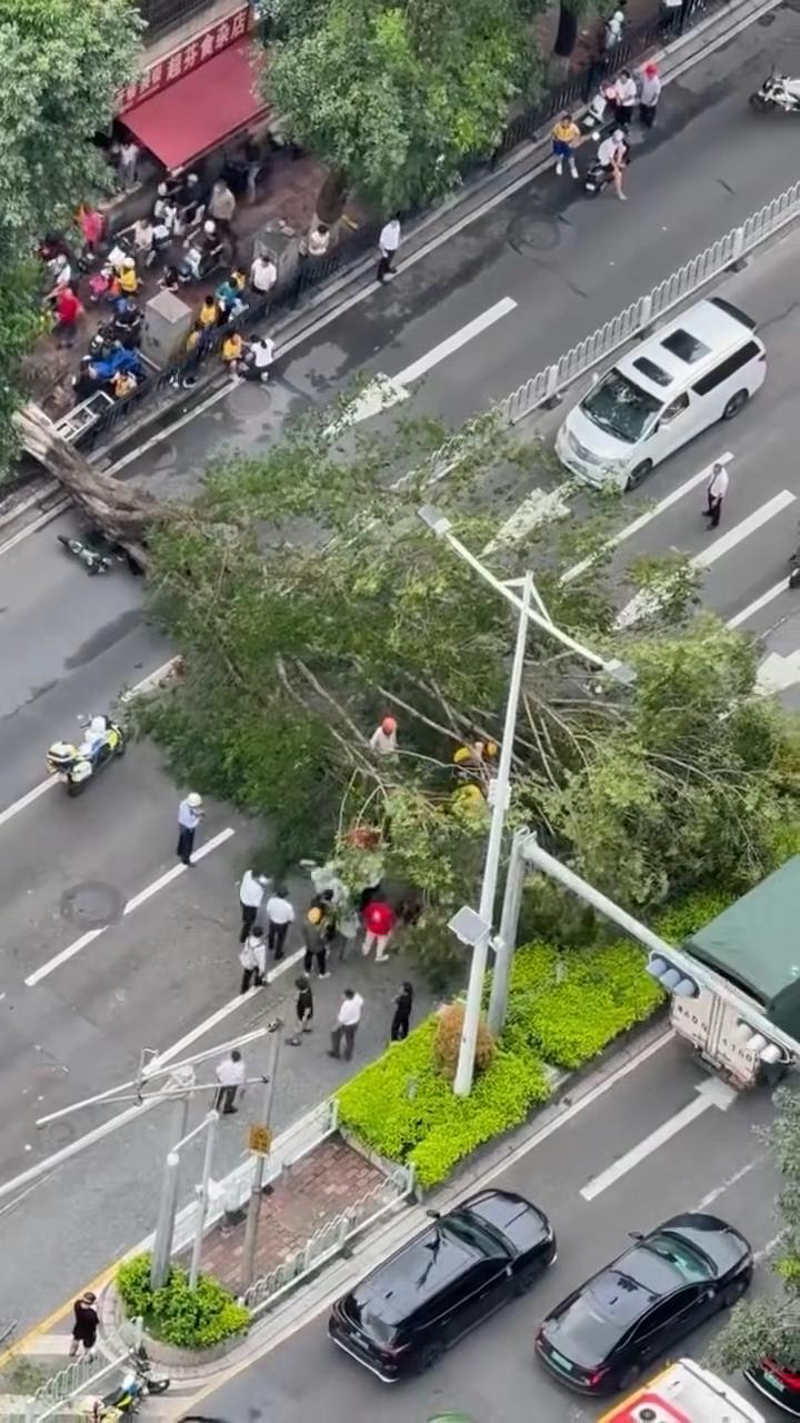 （极目新闻2026‑09‑02报道）9月1日傍晚下班放学高峰时段，广州