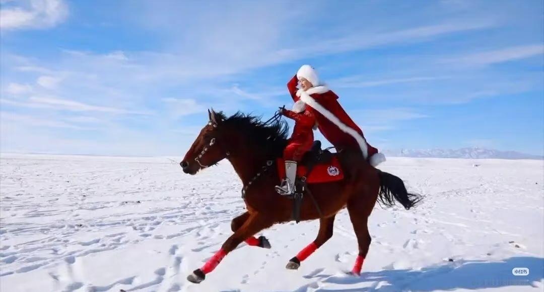 提起贺娇龙，大家眼前都会浮现出2020年冬天那幅经典画面：茫茫昭苏雪原上，一位身