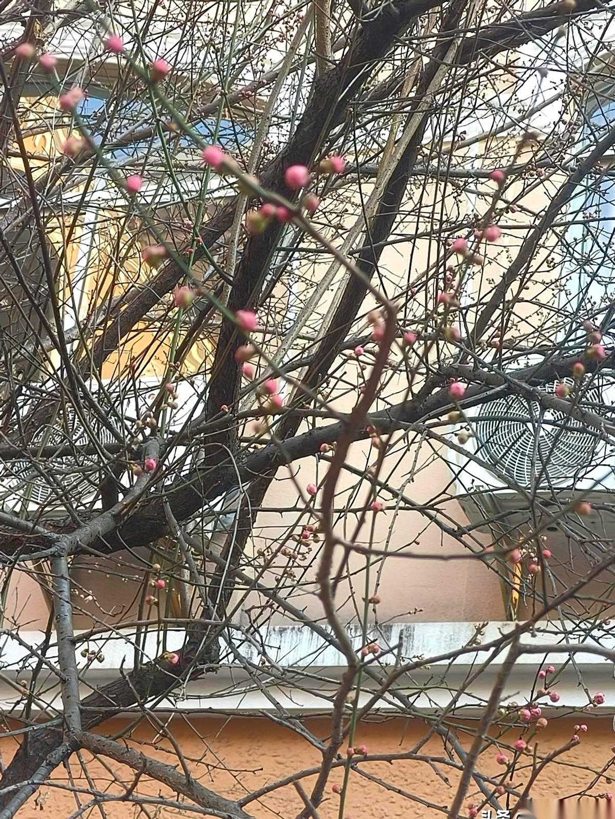 最近那个2000万捐款，看明白的人都得会心一笑。钱，全涌进了最初那个挂在红十字