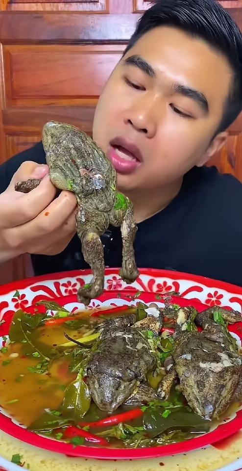 这是吃的癞蛤蟆吗？[惊恐][惊恐]这不像牛蛙呀，也不像青蛙，更不是林蛙，这不就