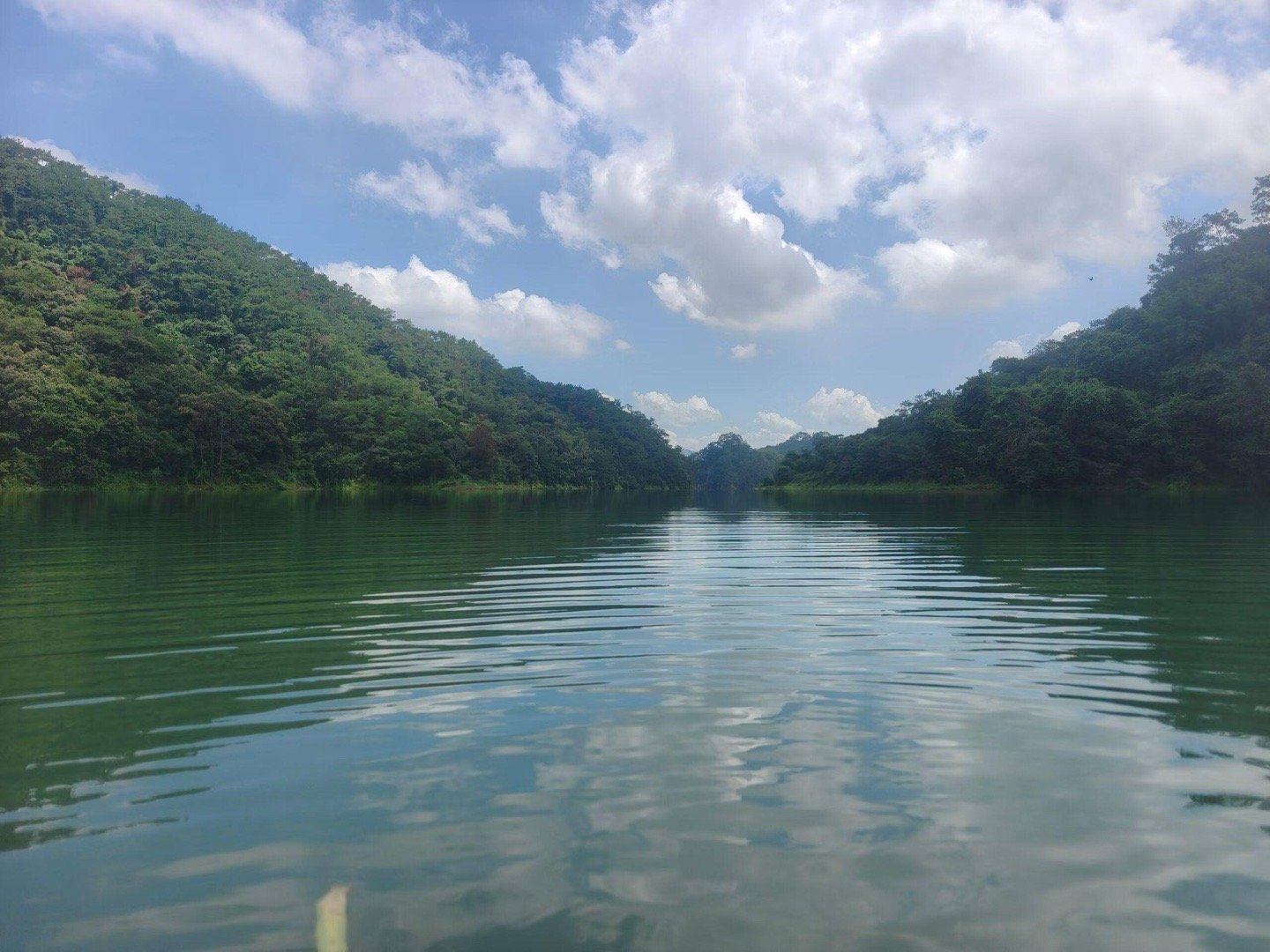 分享一个女孩子提升肾阳的一个方法：女孩子肾虚的话，来大姨妈的时候就不正常。这个方