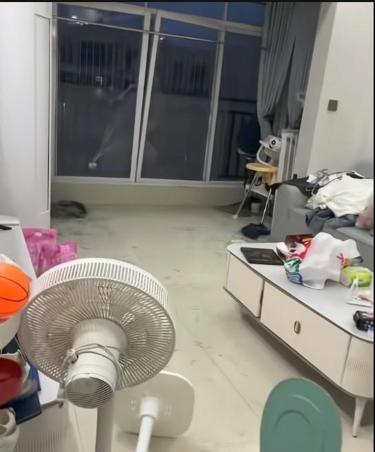 恐怖哦，刮大风了，这回台风吹得那么大，特别是北海很严重的样子，有人家里窗