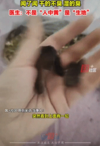 “这是生地，不是人中黄！”河南安阳，一女子开了几幅中药回家熬着喝，倒药渣时却发现