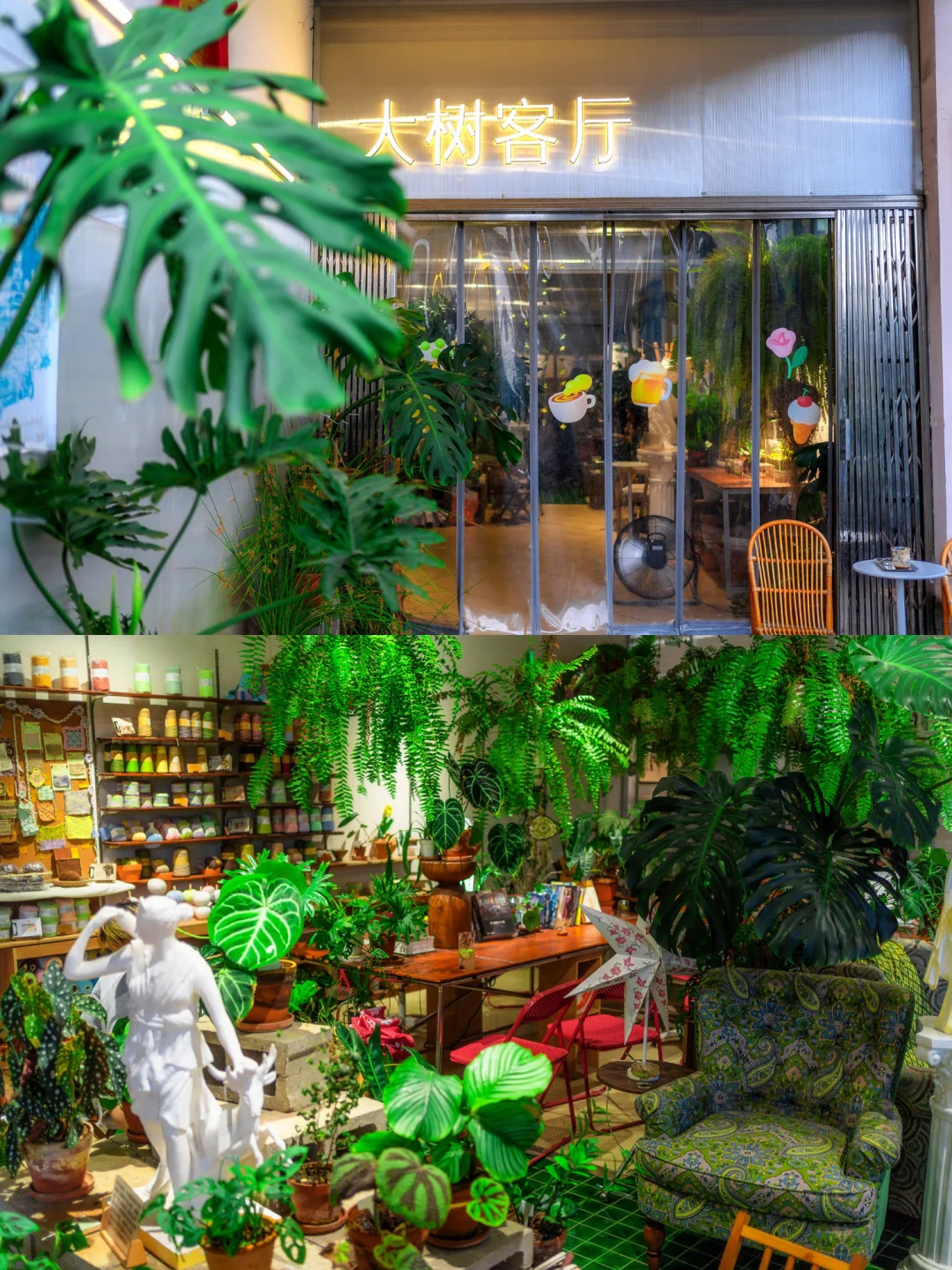 番禺老街藏着的绿植森系咖啡店，大树客厅