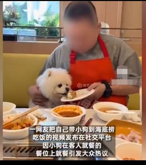 拿客房水壶煮过内裤的人，再住酒店，还会不会用热水壶烧水喝。拿人使用的餐具喂过狗