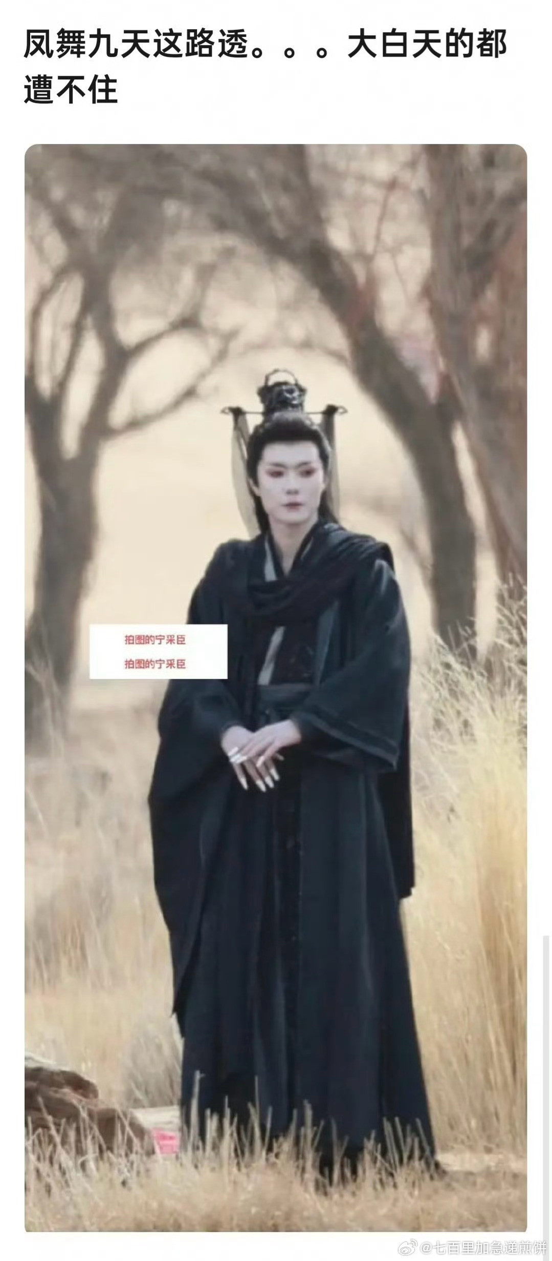 哈哈哈哈哈哈哈蛮有特点的