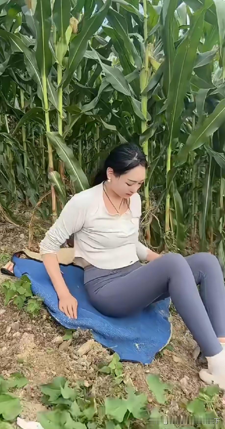 这地方更凉快[？？？]