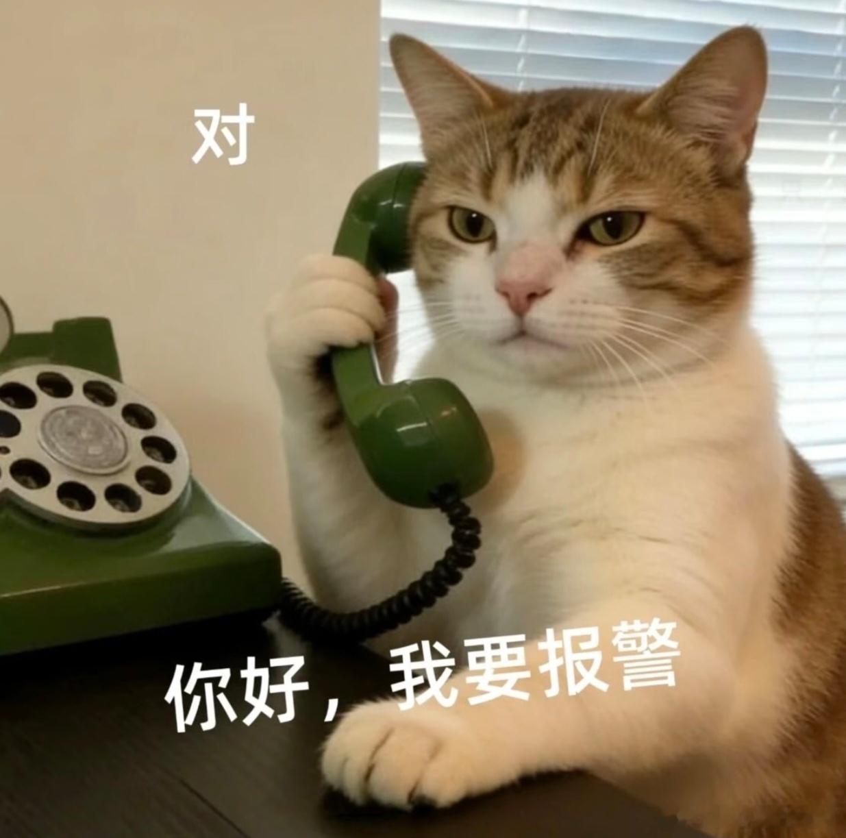 电信套餐送手机网贷不会吧，这合法吗？心眼子全用在歪门邪道上了，当日本人整