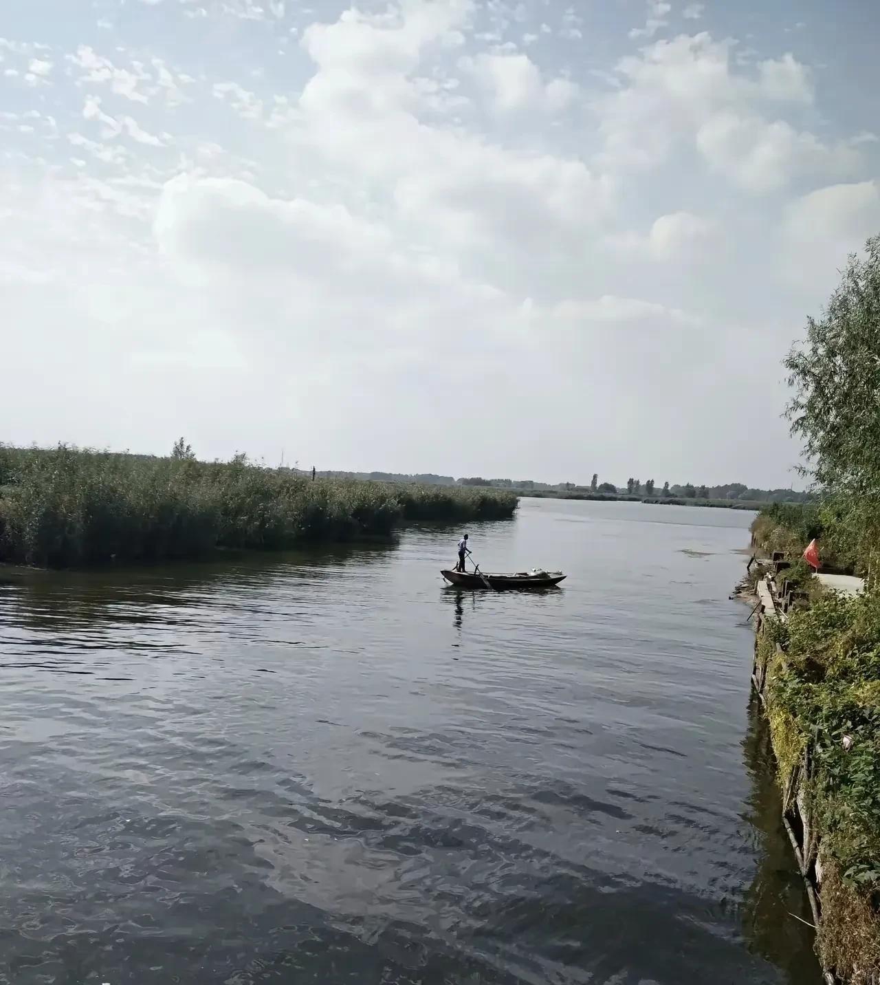 白洋淀景区已彻底凉凉。不用亲自景区去看，就知道白洋淀彻底伤了河北人民和全国游客的