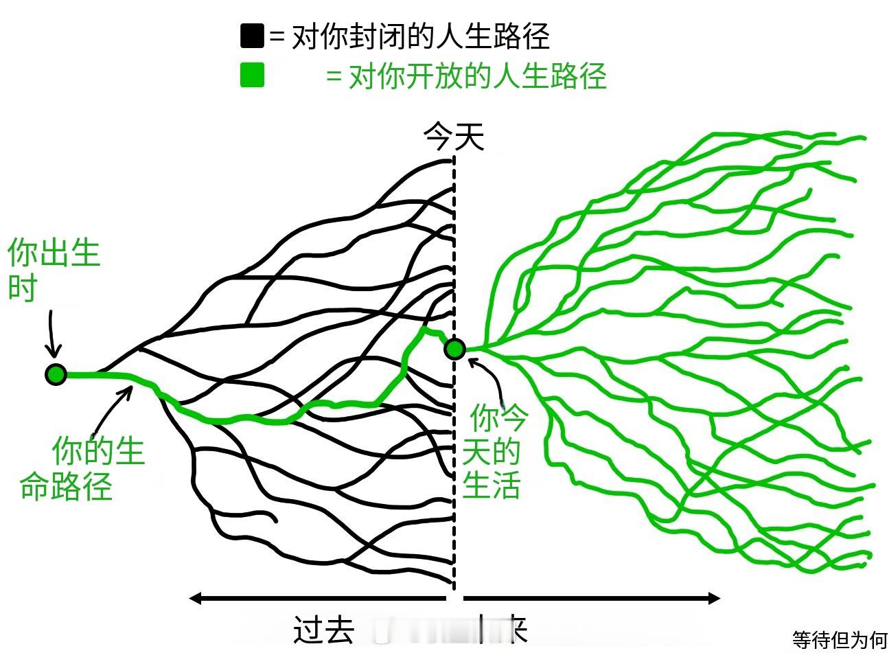 生命在于运动，人生成于行动！