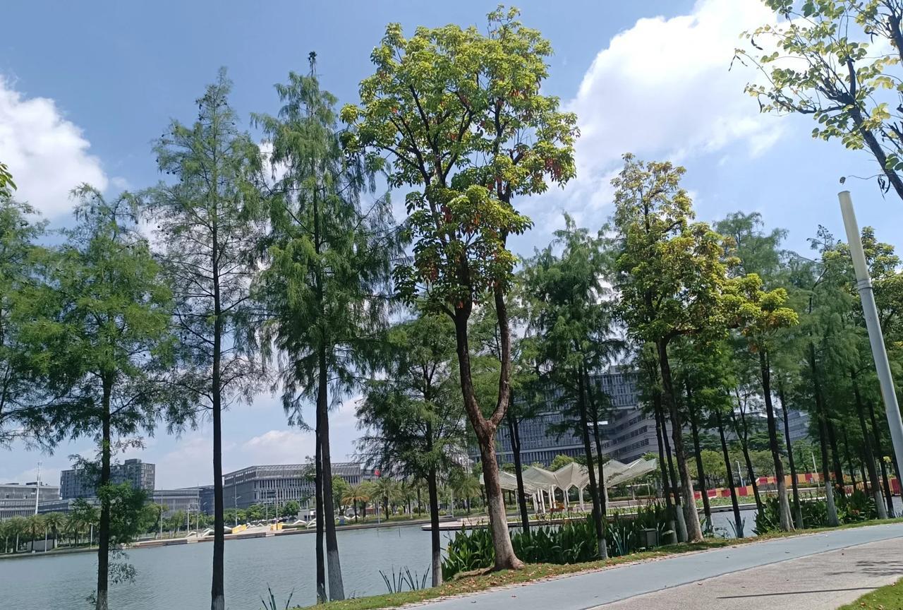 重庆人的那点工资退休后过广州这边来养老的话估计有些自不量力了我的一位亲人很