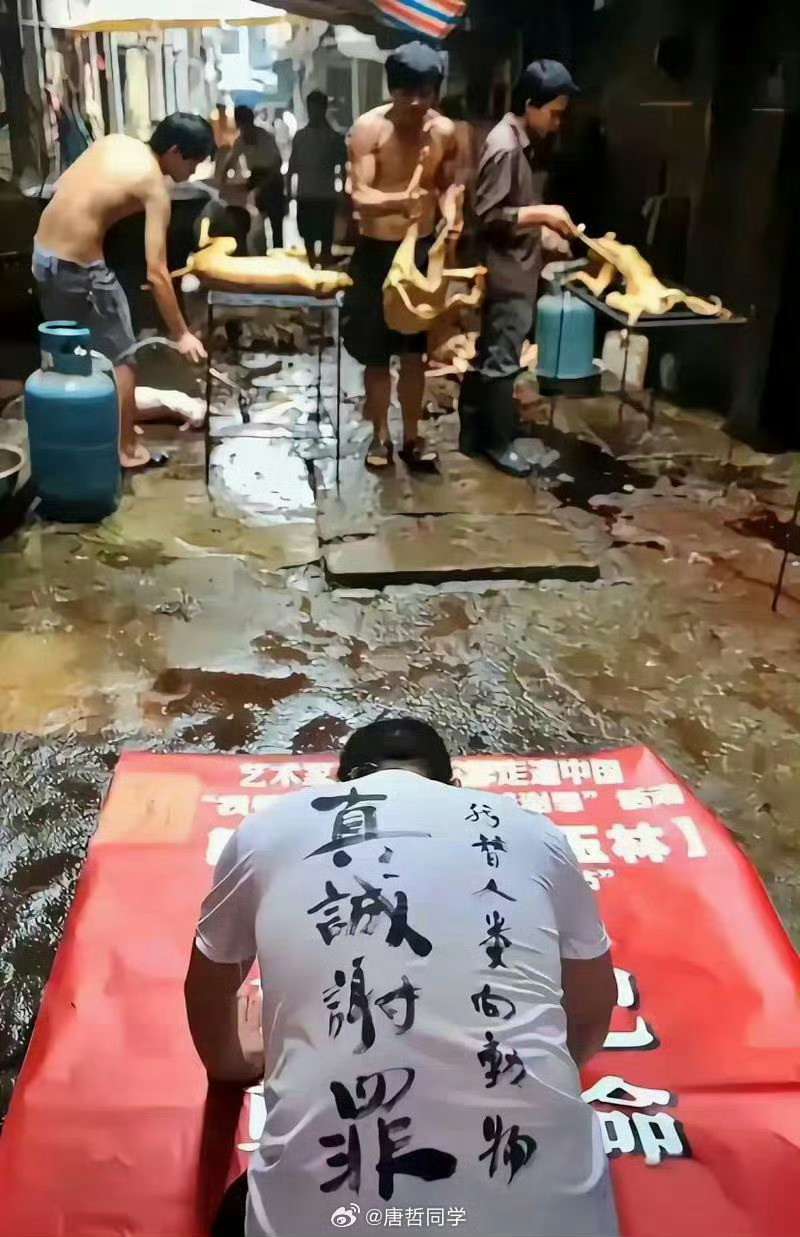 爱狗人士