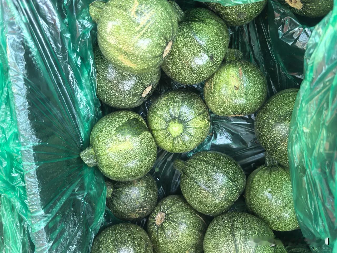 有什么蔬菜可以晒干菜?在我们这里几乎是菜皆可晒。茄子、土豆、黄瓜、辣椒、角瓜、