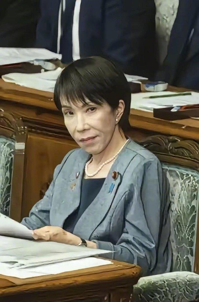 一名日本网友说了大实话：打开电视，不管讨论经济不好，还是治安出问题，请来的专家说