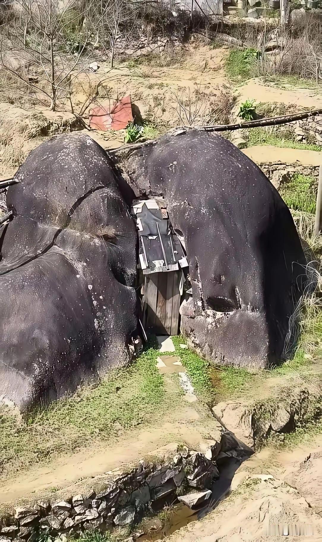 这个房子盖的真奇葩，造型先不说，首先不通风，而且根本没有采光可言。估计就是一