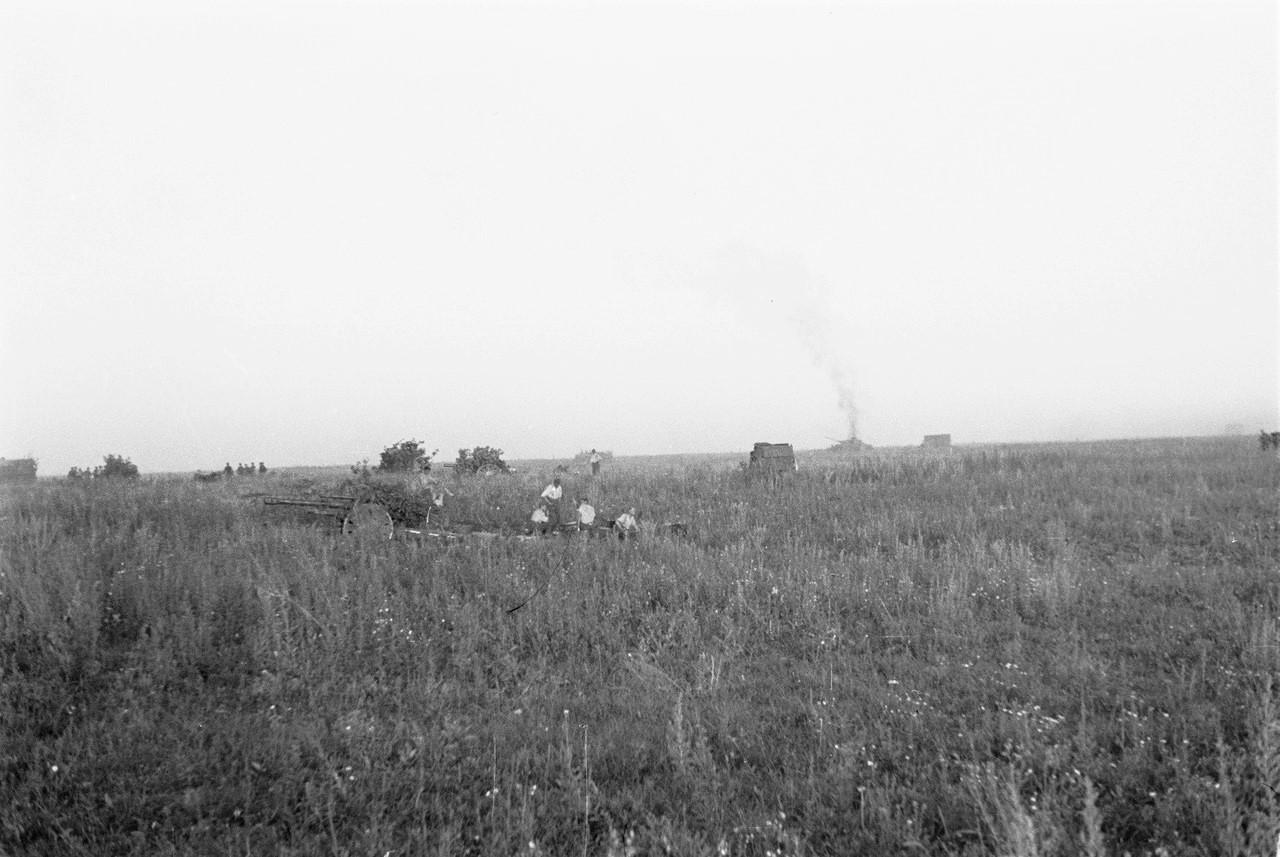 [呲牙笑]考眼力——德军105毫米口径leFH18轻型榴弹炮连正在战场作战。