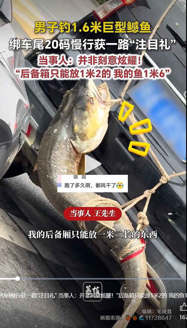 2026年8月11日，湖北武汉街头，一辆轿车车尾绑着一条长1.6米