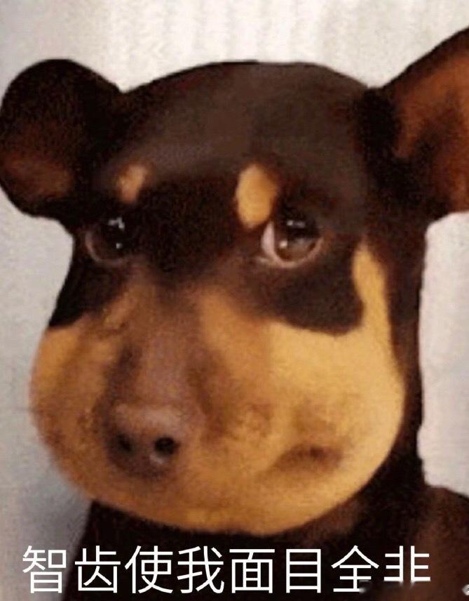哈哈哈哈哈王源好智齿坏