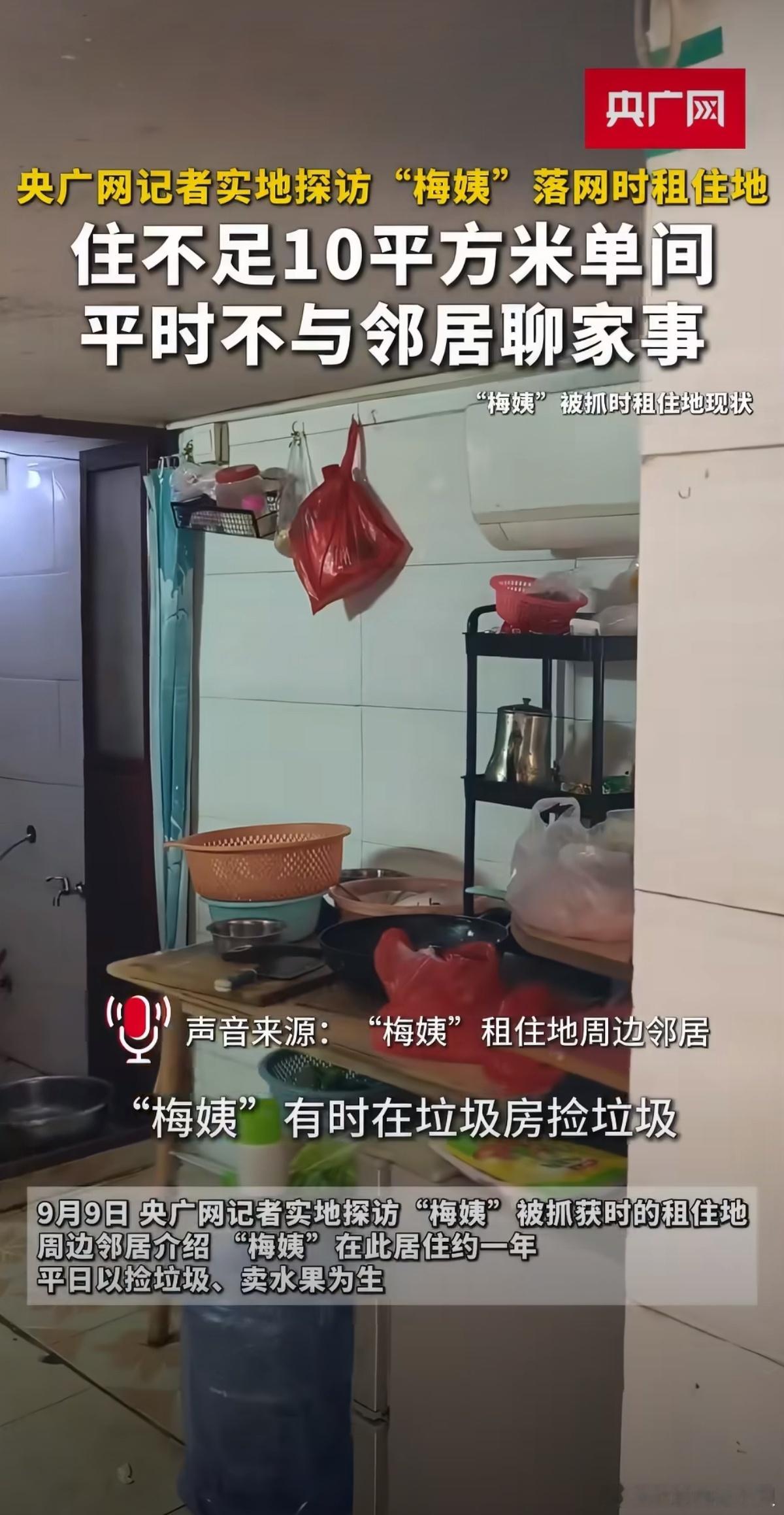 #梅姨落网前租房房东发声#梅姨落网前租房的房东接受媒体采访，揭开了她曾经的生活状态。广州城中村，月租