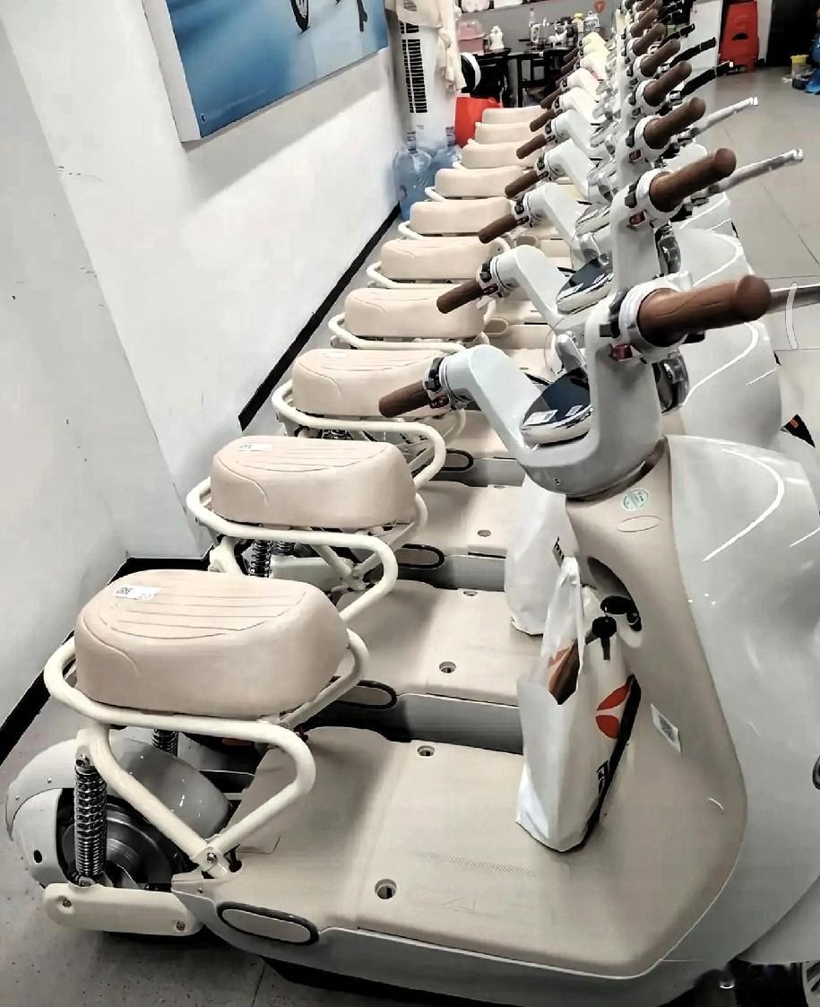 新国标电动车经典语录：1、造车的人肯定不骑电动车，骑上就知道了；2、座凳必