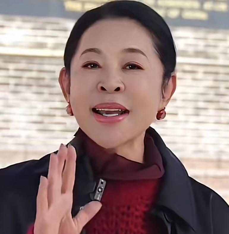 每次看到倪萍老师，总会下意识先注意到她的鼻子——两个鼻孔微微朝天，竟莫名让人联想