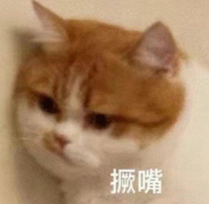 聊天必备表情包第728弹喵星人必备表情包​​​（拿图吱声）​​​