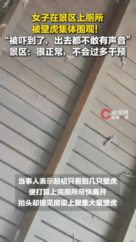 海南三亚一名女游客在森林公园游玩时，遇到了一场特别又有趣的经历，她在景区公厕如厕