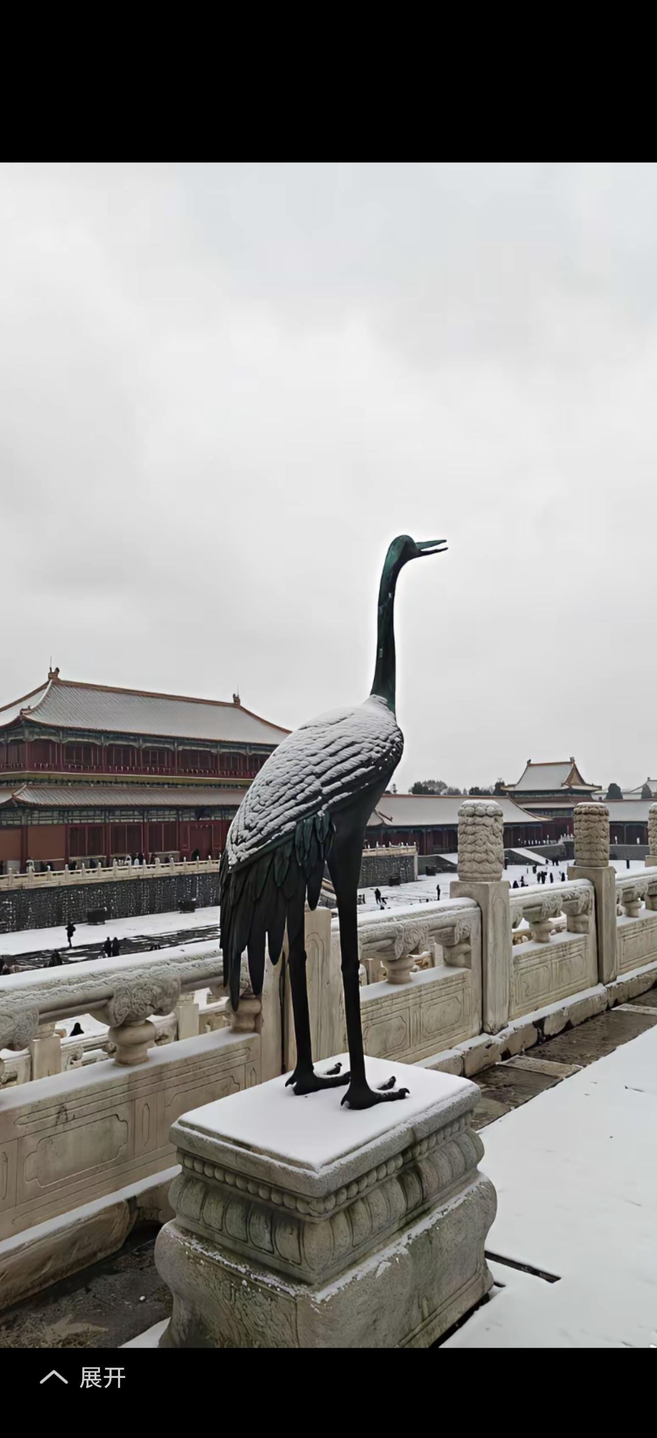 冬雪景色也是醉了