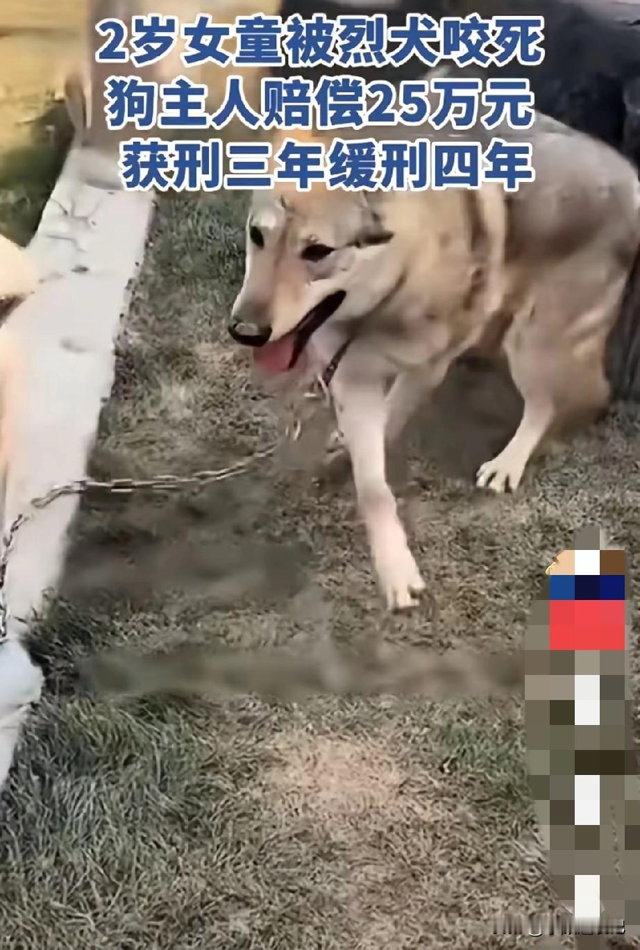 毛某义养捷克狼犬，为了震慑不安分的乡邻，更为了自己的优越感。养狗本是与人为