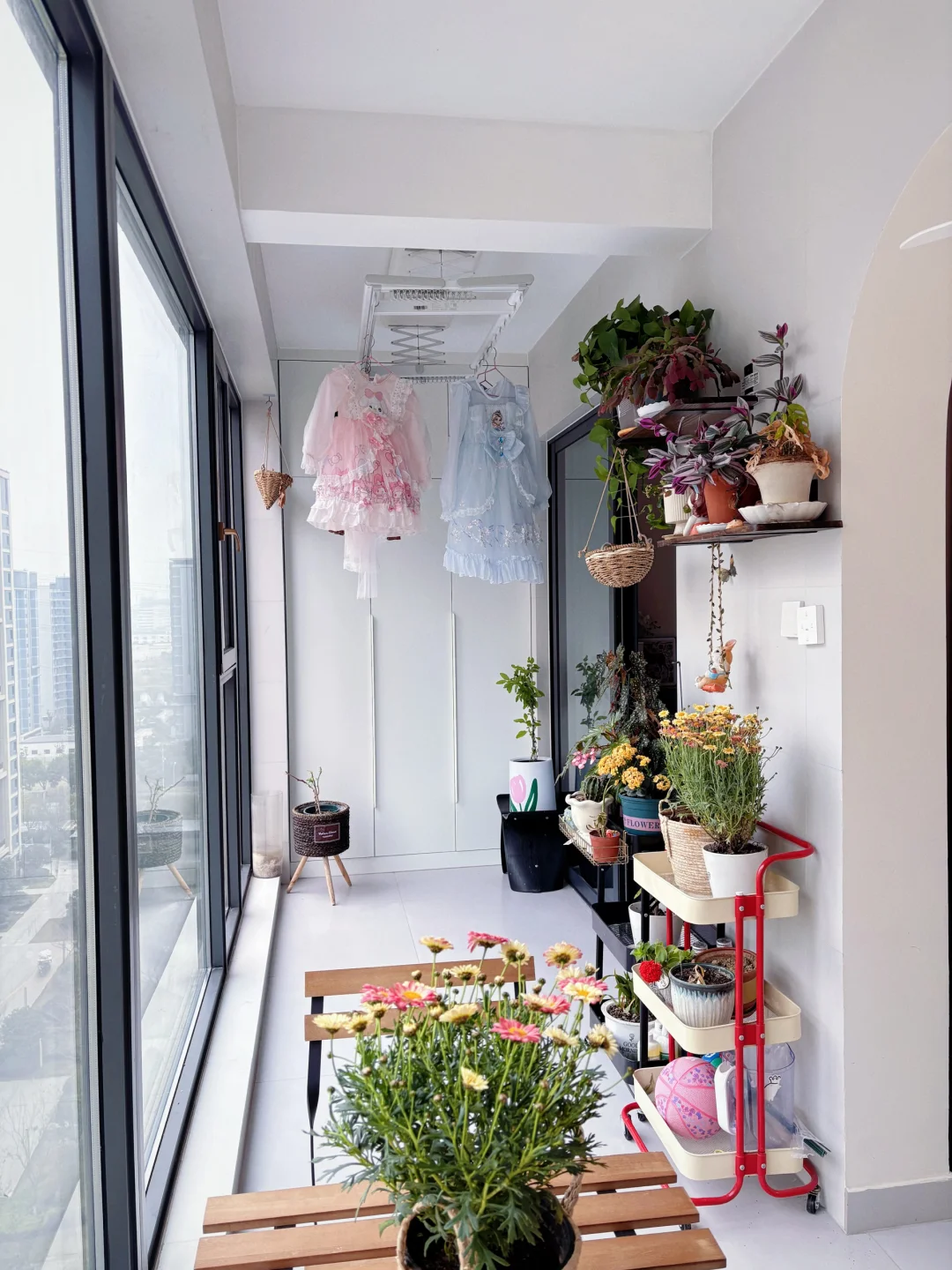 普通人家的幸福：左边挂着衣服，右边开着花🥳