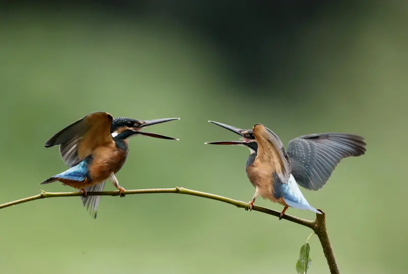 夫妻越吵越冷，多半是这几点闹的：遇事不愿好好说，急了就吵翻；翻旧账揪过...