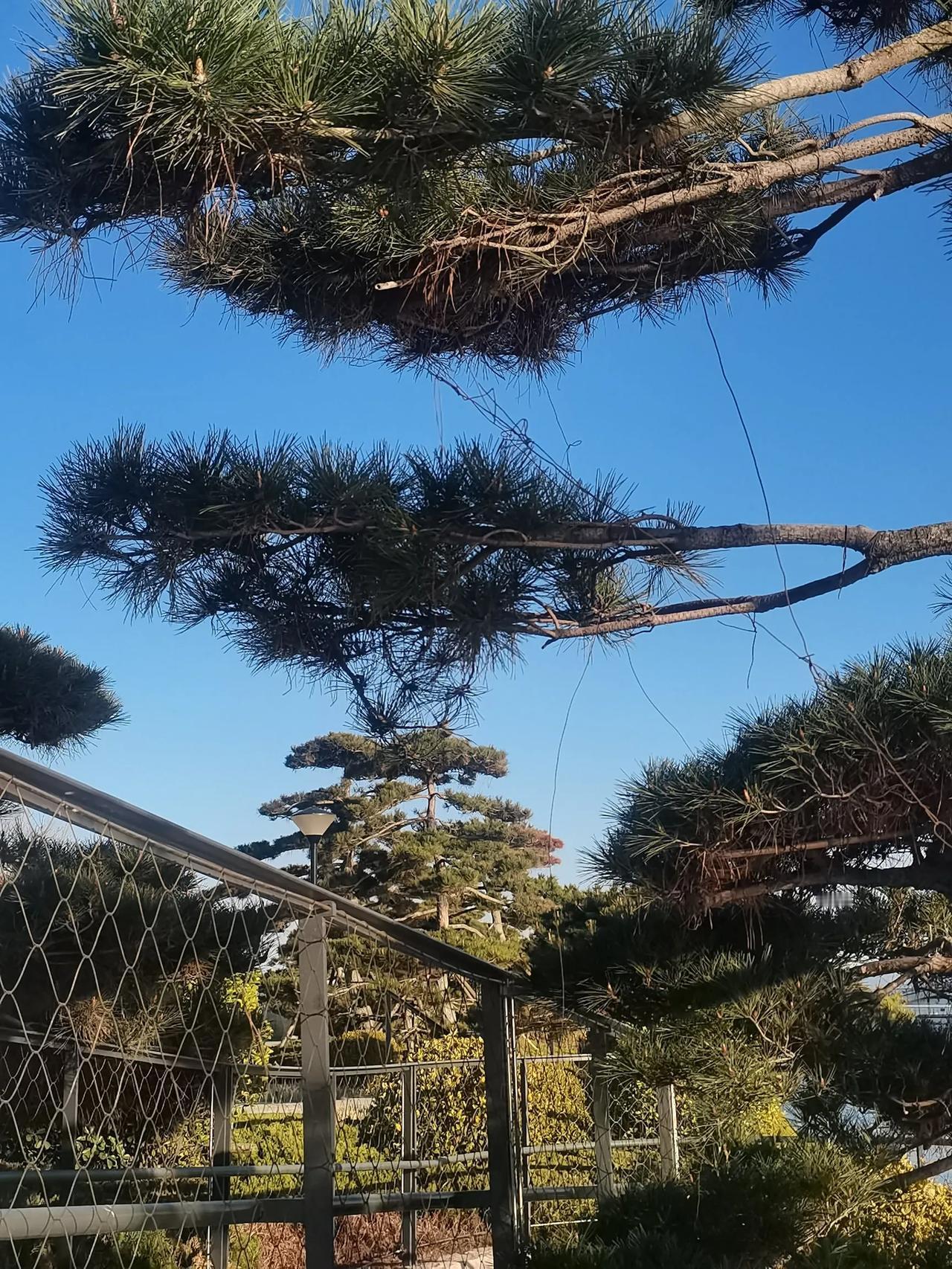 家里有老人两个卫生间🚻最合适，自从老妈来了以后，发现一个大问题，