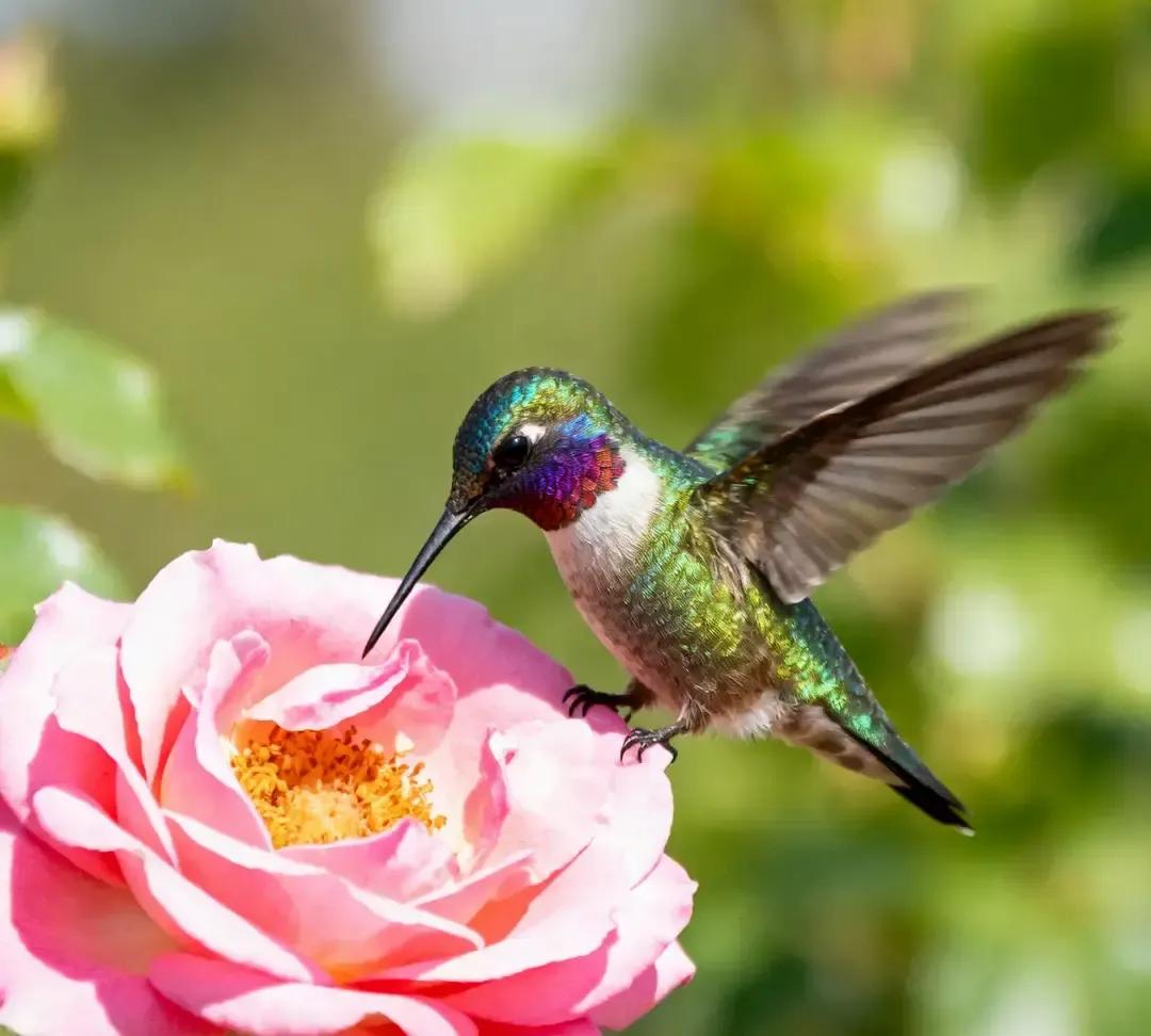 职场博主一句别信同事闲聊把我看乐了。我上班第七年就靠一句“下班吃啥”被卷进派系