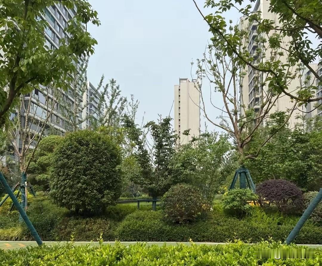 一路之隔差价几十万，多数人宁愿高价选商品房，安置房看似划算实则藏多重隐性成本
