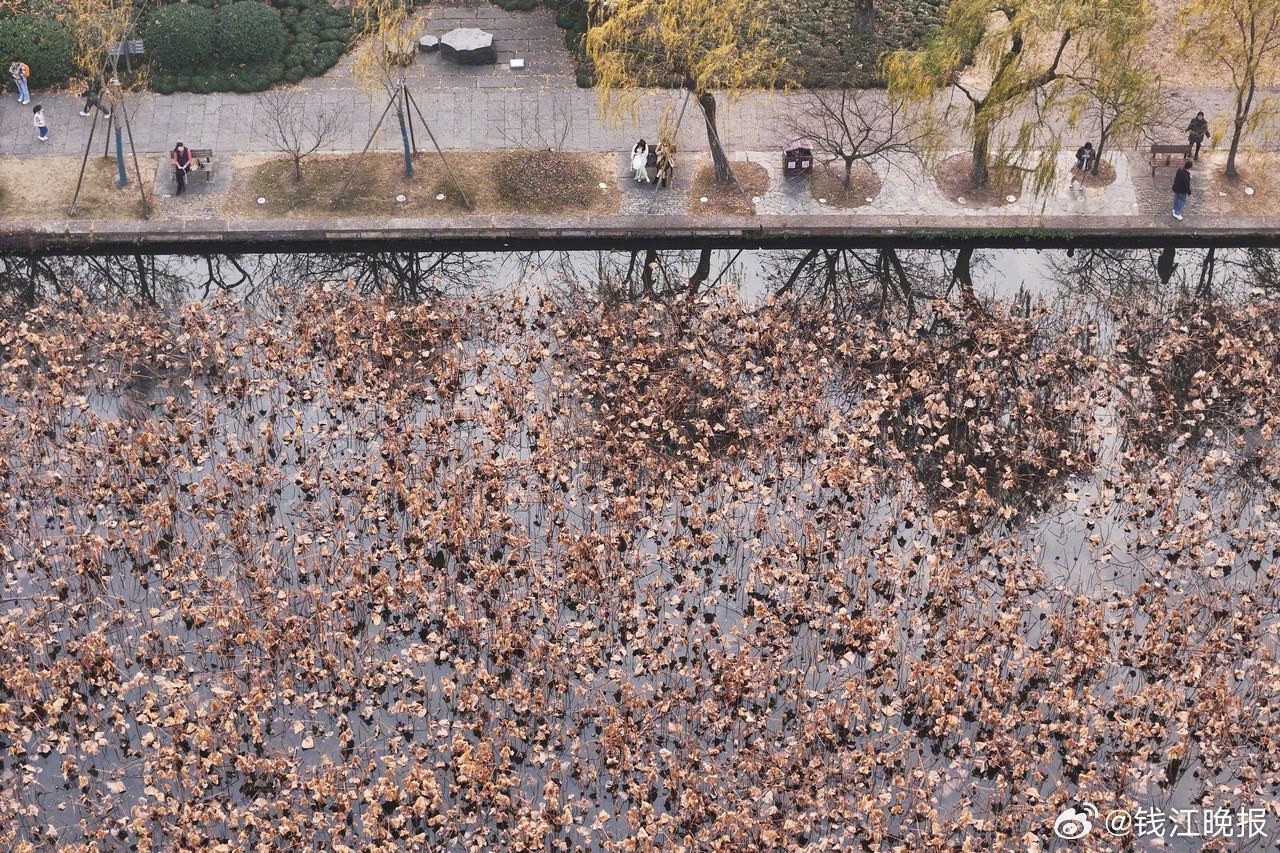 【#浙江这回降温真有点冷#】受冷空气影响，今天浙江风力增大，冷暖空气交汇，还带来