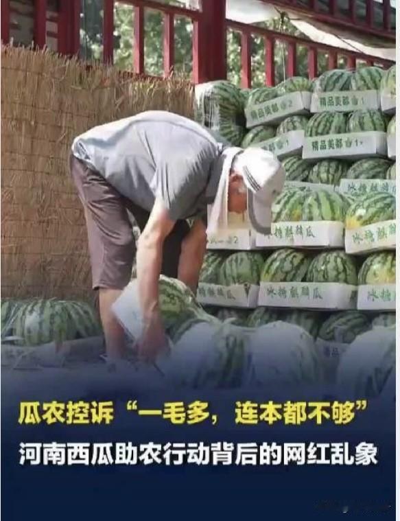 河南多地西瓜集中成熟，却遇上滞销难题。大片西瓜堆在田间，瓜农守着满地果实愁眉不展