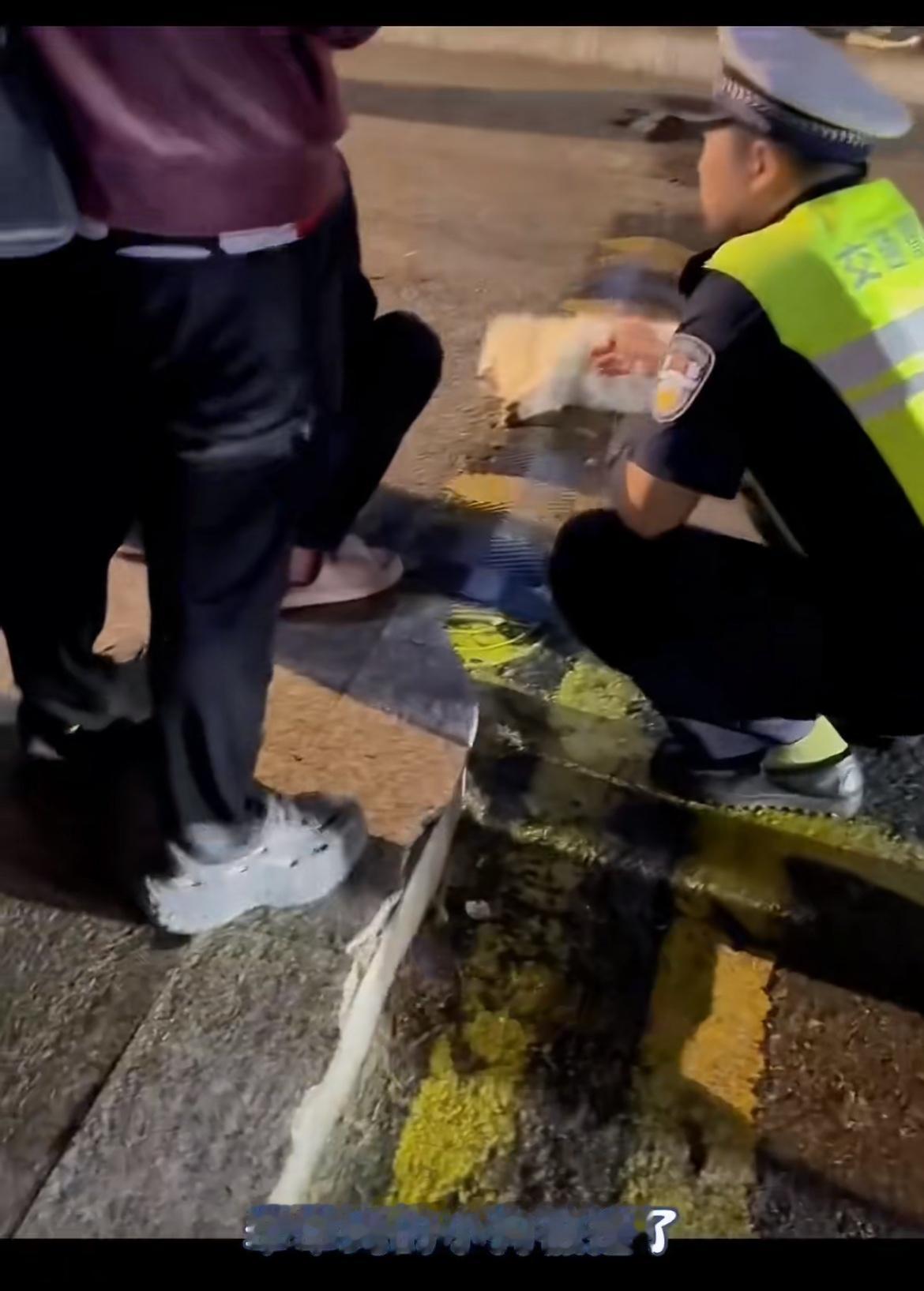 老人家养的宠物狗被车压死了，交警说不牵绳的狗被撞死了车主无责，如果把人家的车撞坏